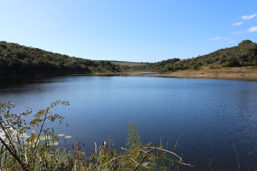 3 Bedroom Property for Sale in Bathurst Eastern Cape